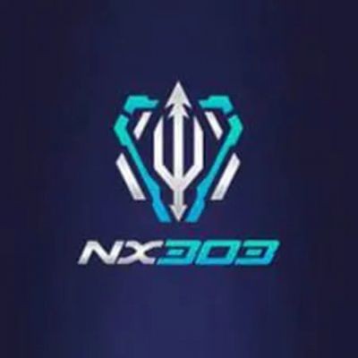 nx303 nx303