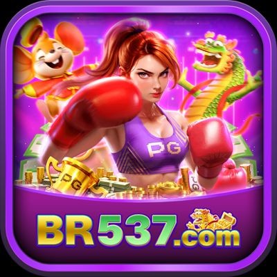 br537 br537