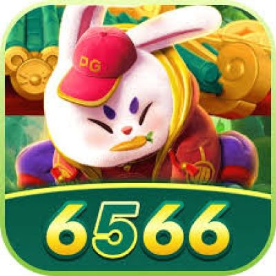 qd6566
